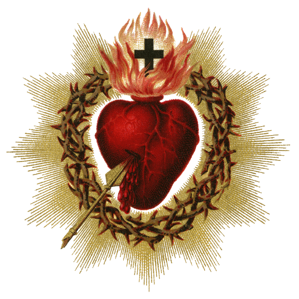 His Sacred heart