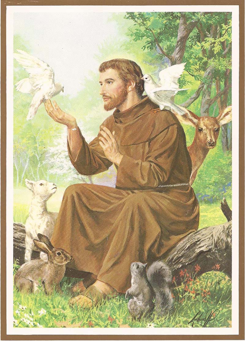 St.Francis Of Assisi